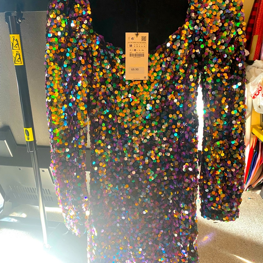 BNWT stunning Sequinned Zara dress!